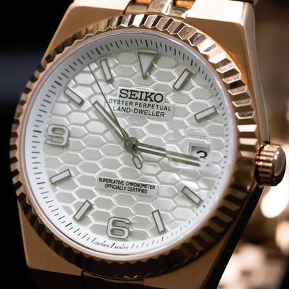 Montre Dwelleiko - Rose Gold